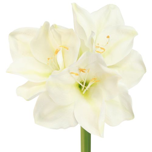 Floristik24 Amaryllis Christmas Flowers Artificial L55cm White 2pcs