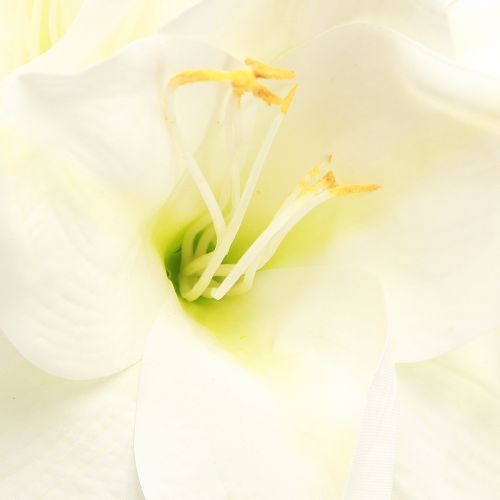 Floristik24 Amaryllis Christmas Flowers Artificial L55cm White 2pcs