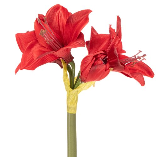 Artificial red amaryllis flower with stem, flower decoration for Christmas, 50cm | Floristik24.ie
