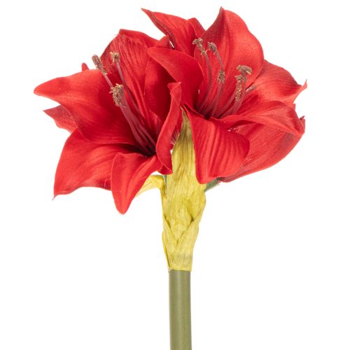 Artificial red amaryllis flower with stem, flower decoration for Christmas, 50cm | Floristik24.ie