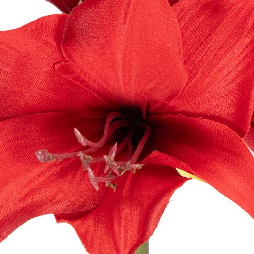 Artificial red amaryllis flower with stem, flower decoration for Christmas, 50cm | Floristik24.ie