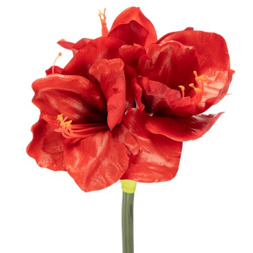 Artificial Amaryllis flower, red, long stem, for vase and arrangement, 77cm buy online | Floristik24.ie