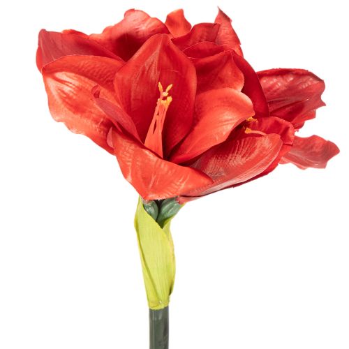 Artificial Amaryllis flower, red, long stem, for vase and arrangement, 77cm | Floristik24.ie