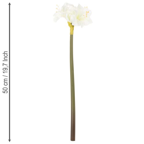 Artificial Amaryllis flower, white, with stem, Advent and Christmas, 50cm | Floristik24.ie