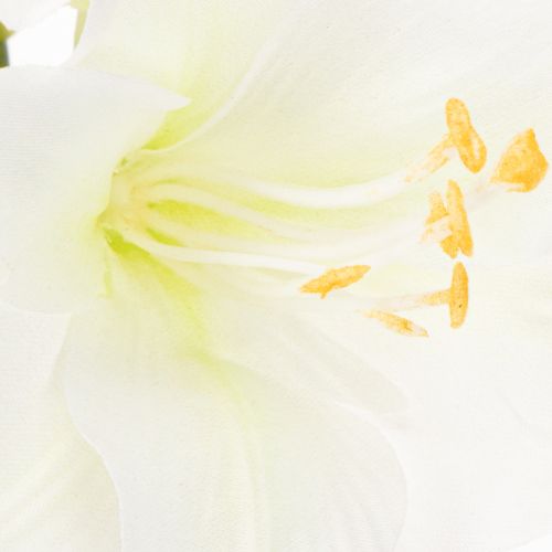 Artificial Amaryllis flower, white, with stem, Advent and Christmas, 50cm | Floristik24.ie