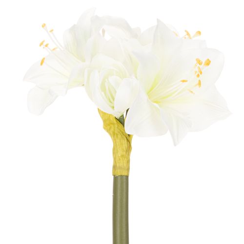 Artificial Amaryllis flower, white, with stem, Advent and Christmas, 50cm | Floristik24.ie