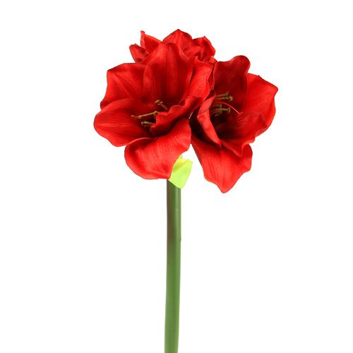 Floristik24 Amaryllis artificial 60cm red