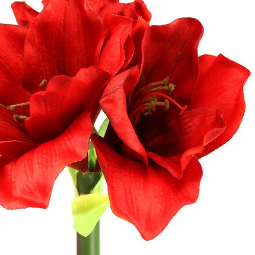 Floristik24 Amaryllis artificial 60cm red