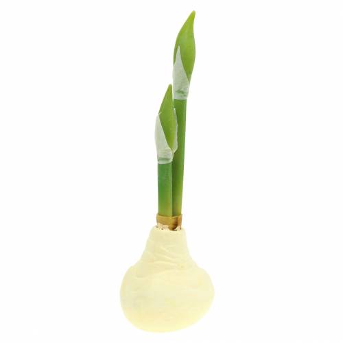 Floristik24 Amaryllis tuber with buds Artificial white H30cm