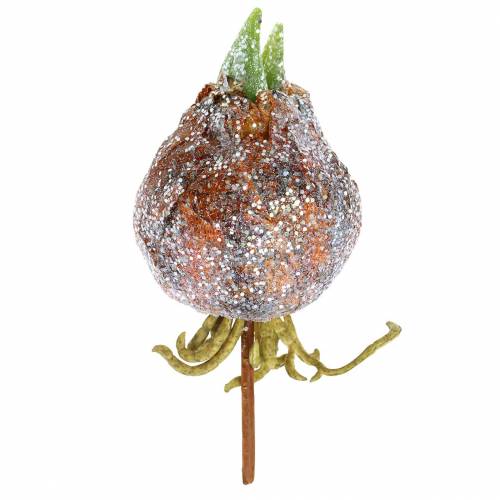 Floristik24 Amaryllis bulb with glitter artificial brown H19cm