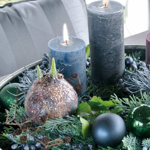 Floristik24 Amaryllis bulb with glitter artificial brown H19cm