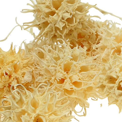 Product Sweet gum bleached 250g