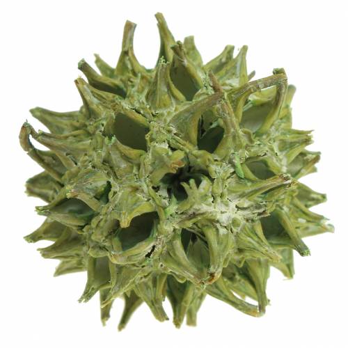 Product Sweetgum cones green frosted 250g