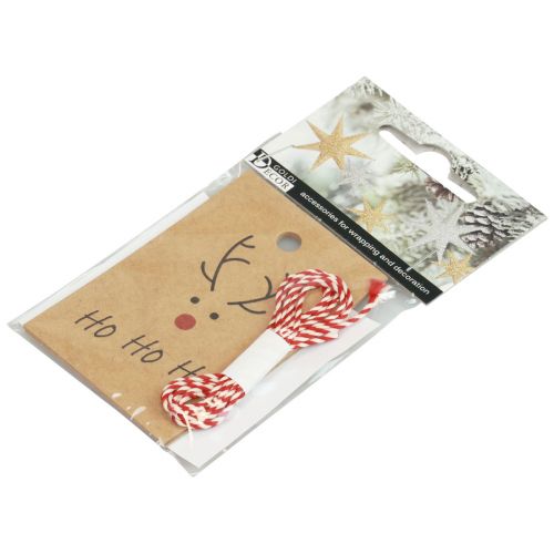 Product Christmas pendant for crafting reindeer 5.5x8.5cm 4pcs