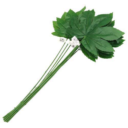 Product Aralia leaf with stem green L61.5cm 12pcs