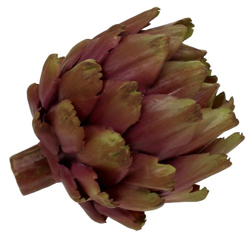 Artichoke green, violet Ø12cm H13cm