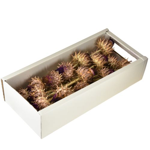 Product Artichoke blossom dried artichoke Cynara Ø9cm 16 pcs