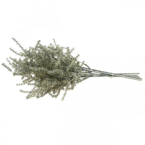 Floristik24 Larch decorative branch white washed artificial 45cm 6pcs