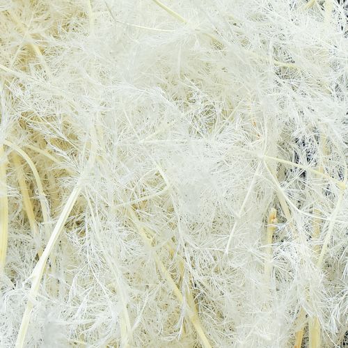 Product Asparagus Dried Grasses Ornamental Asparagus Cream 90cm 5 pcs