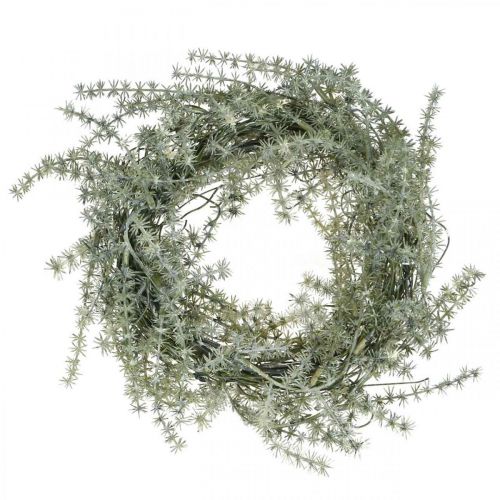 Floristik24 Larch wreath artificial decoration wreath frosted winter Ø20cm