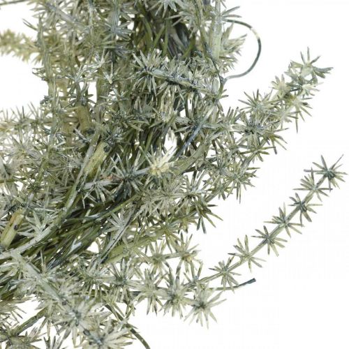 Floristik24 Larch wreath artificial decoration wreath frosted winter Ø20cm