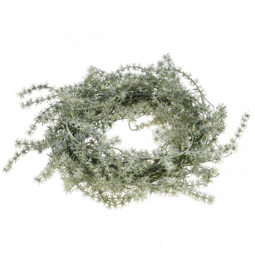 Floristik24 Larch wreath artificial decoration wreath frosted winter Ø20cm