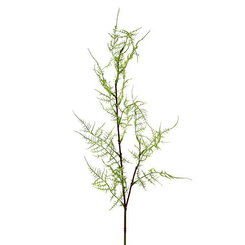 Floristik24 Asparagus branch 75cm green 3pcs