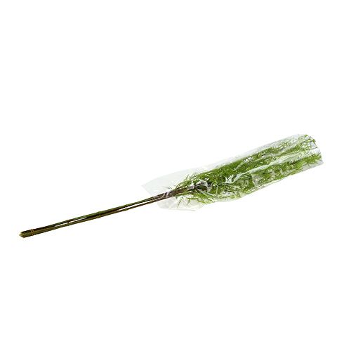 Floristik24 Asparagus branch 75cm green 3pcs