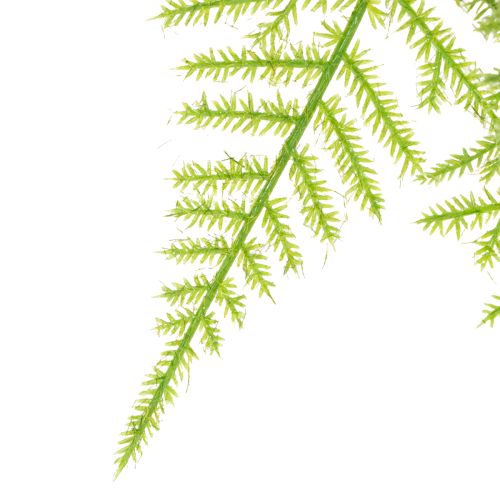 Product Artificial asparagus as a hanging plant for low-maintenance home decoration, 75cm