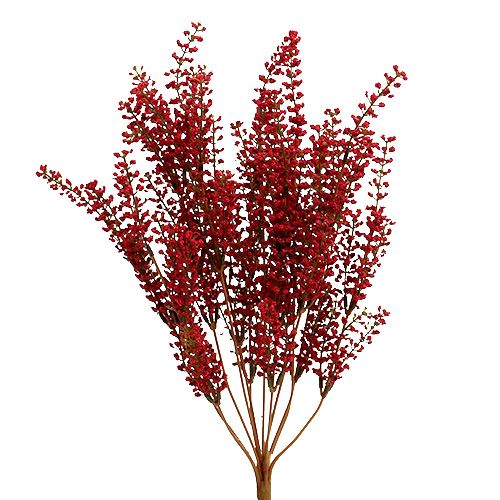 Floristik24 Astilben bush red 52cm