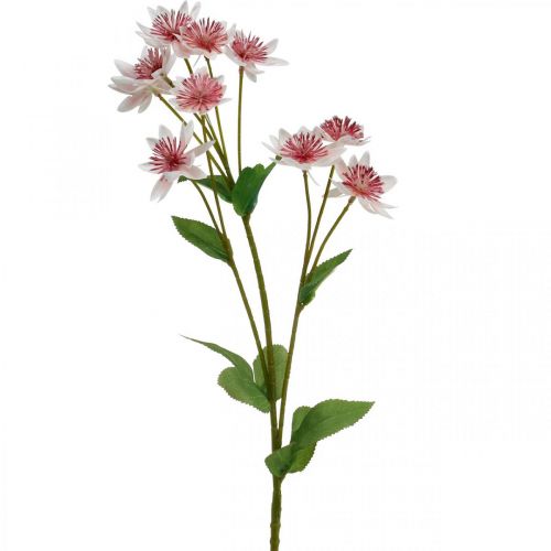 Large Masterwort Artificial Astrania Silk Flower White Pink L61cm