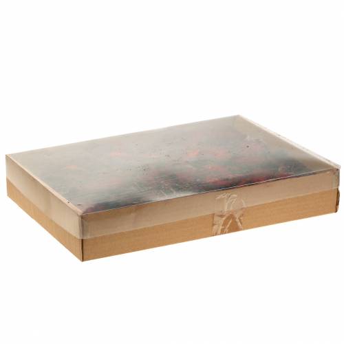 Floristik24 Decorative fruit slices Ata fruit red 1kg