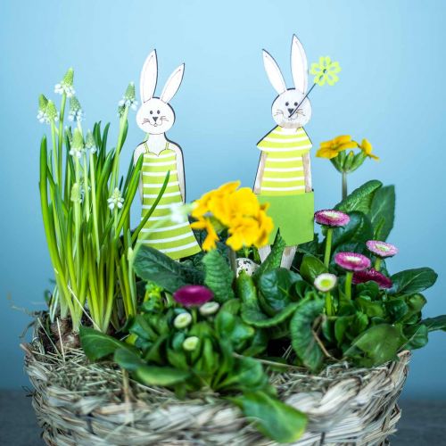Floristik24 Easter bunny stand green bunny wood Easter decoration 4pcs