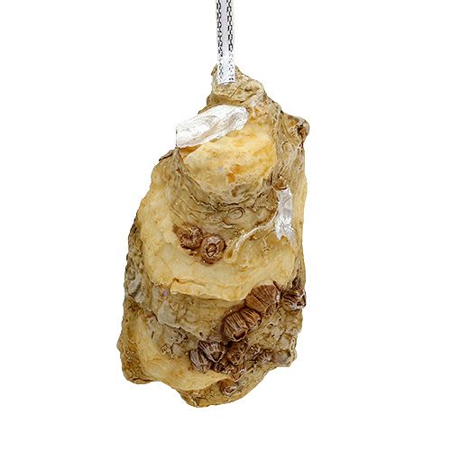 Floristik24 Oyster with pearl and mica to hang 8.5cm