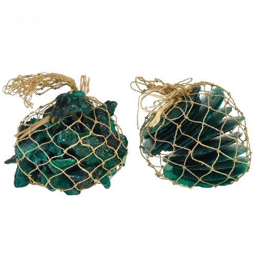 Product Oyster shells capiz discs in net turquoise 3.5–9.5cm 2pcs