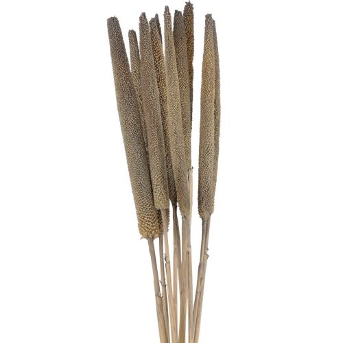 Product Babala artificial millet sprays for dried flower arrangements and decorative arrangements