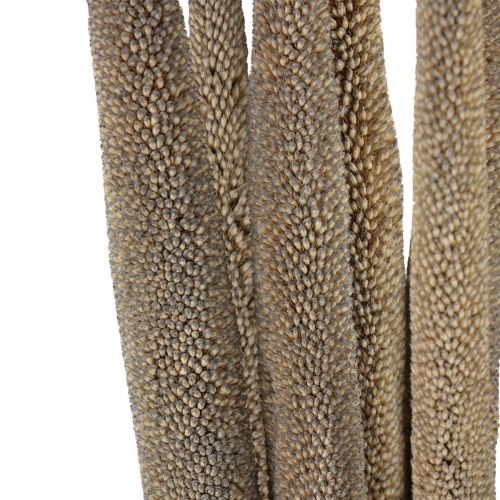 Product Babala artificial millet sprays for dried flower arrangements and decorative arrangements