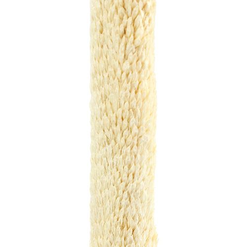 Product Babala pearl millet bleached dry decoration 25 pcs