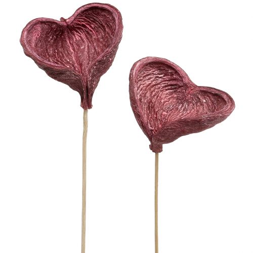 Product Badam on a stick red, white washed 25 pcs