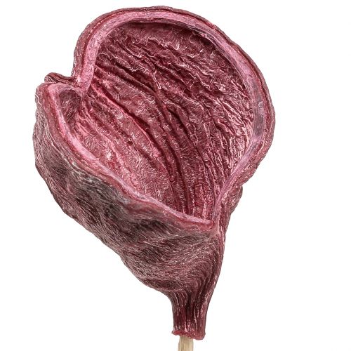 Product Badam on a stick red, white washed 25 pcs