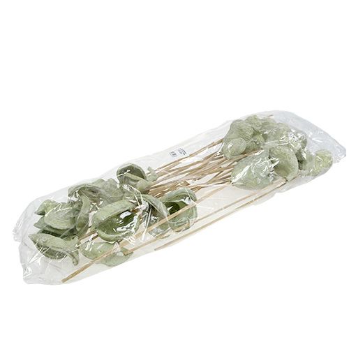 Product Badam on a stick natural decoration green white washed 25 pcs
