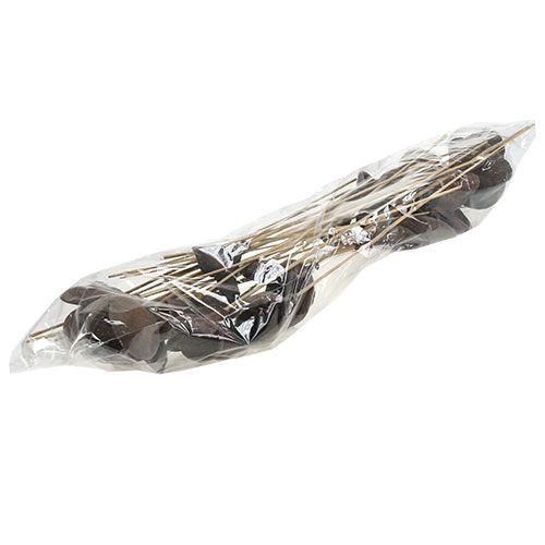 Product Badam on a stick natural 6cm - 12cm 23 pcs