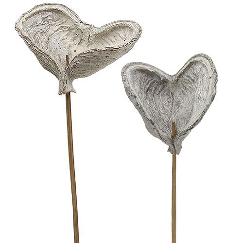 Badam on a stick whitewashed 12cm L55cm 23 pcs