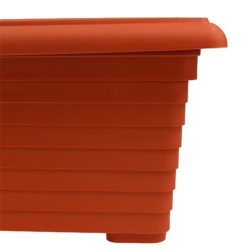 Floristik24 Balcony box "Nowa" terracotta 64cm, 1p