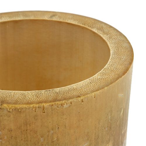 Floristik24 Bamboo planter Ø7cm H10cm