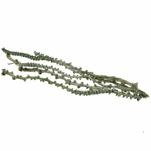 Banana Stem Deco Branch Green, white washed 20 pcs