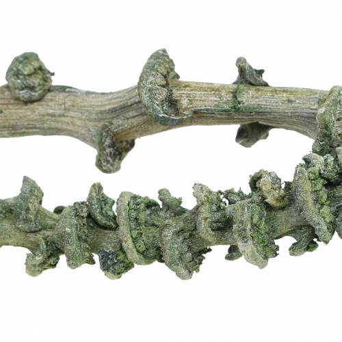 Product Banana Stem Deco Branch Green, white washed 20 pcs