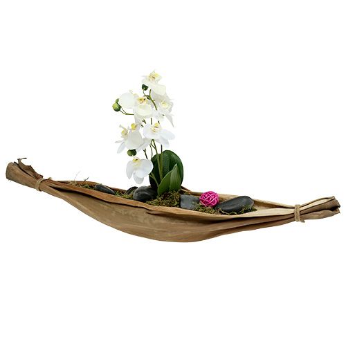Floristik24 Banana leaf bowl 40-45cm natural 1 pc