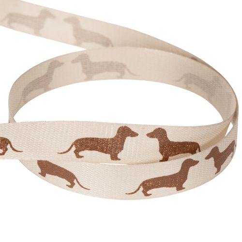 Gift ribbon with dachshund dog
