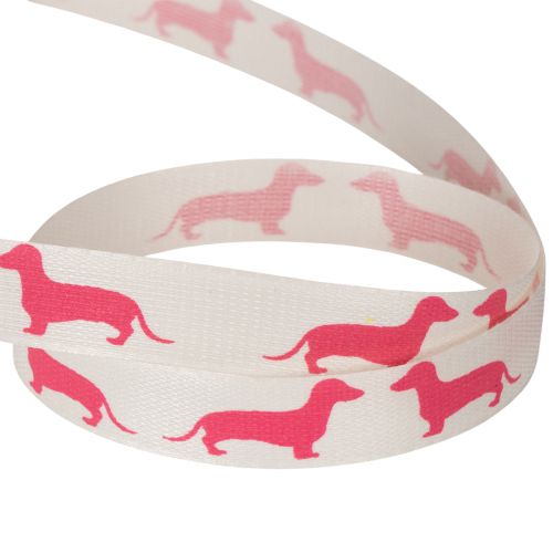 Decorative ribbon with